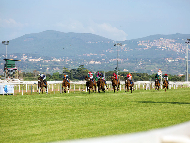 Excitement builds ahead of Dubai International Arabian Races